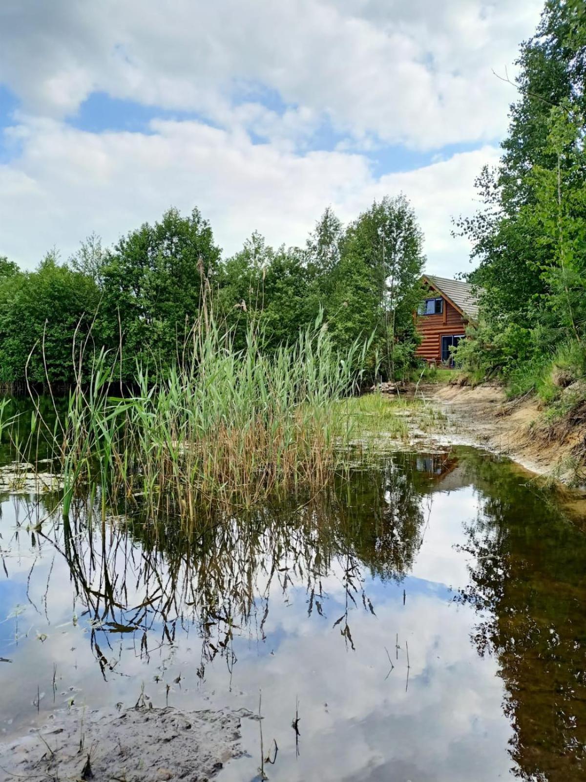 Unieke Houten Villa Met Sauna In Twente - 6P Den Ham ภายนอก รูปภาพ